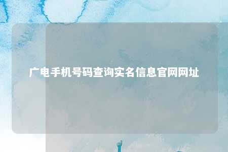 广电手机号码查询实名信息官网网址 