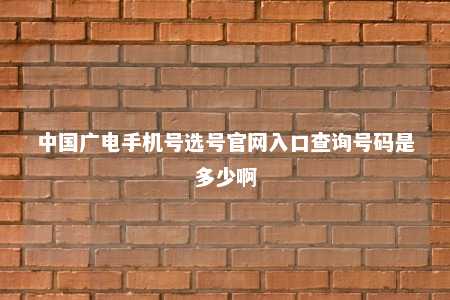 中国广电手机号选号官网入口查询号码是多少啊 