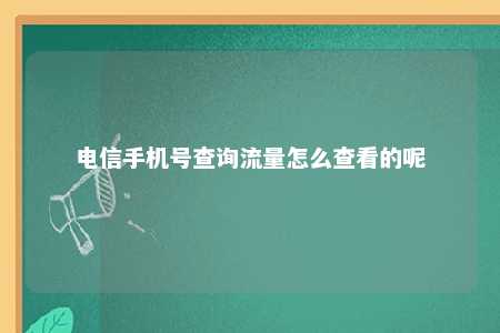 电信手机号查询流量怎么查看的呢 