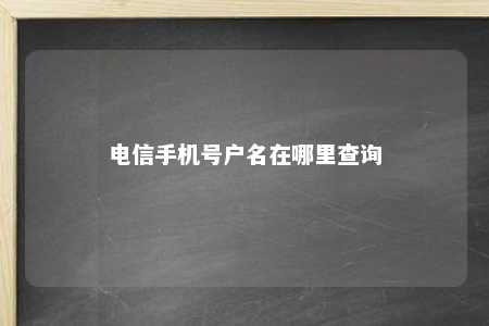 电信手机号户名在哪里查询 