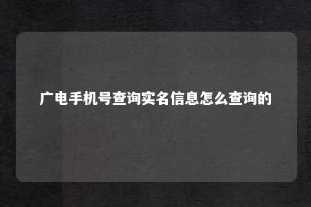 广电手机号查询实名信息怎么查询的 