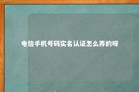 电信手机号码实名认证怎么弄的呀 