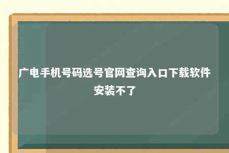 广电手机号码选号官网查询入口下载软件安装不了 